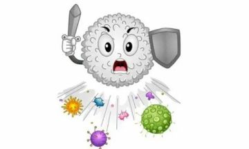 Иммунитет — основа здоровья, защищающая организм от болезней