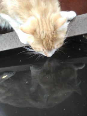 24 февраля на территории Луганской Народной Республики прогнозируется переменная облачность