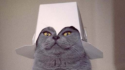 ������ �� ����� �� ����� ������