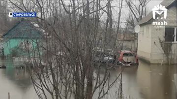 ������� ���� �������� � ������������ � �������� ����, ���� � ������� ����