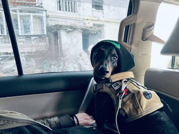 ������� � ��������� ������ ��� ����� �10 ������� � ����� � ������