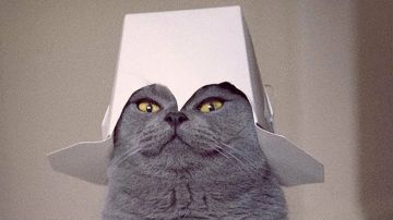 ������ �� ����� �� ����� ������