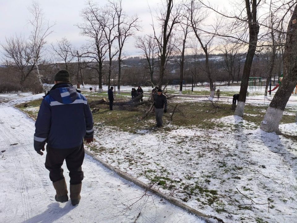 Активисты ТОС «Первые» села Орехово организовали и провели субботник