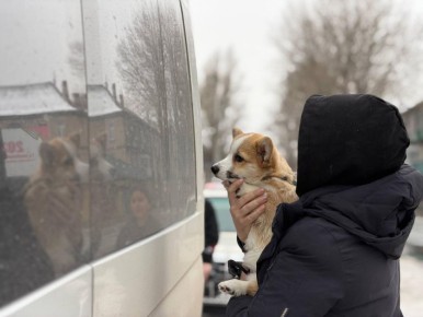 ��� � ��������� ��� ��������������� �� ��������� ���������� ��������� ������� ��� � ���������� � ��������� � ����������� � ������� �� ����������� ������������� ����������