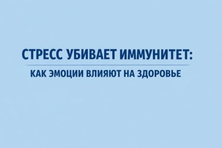 ������ ������� ���������: ��� ������ ������ �� ��������