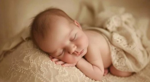 � ��� �������� 113 �������