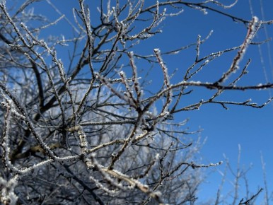С добрым утром, жители Марковского муниципального округа !