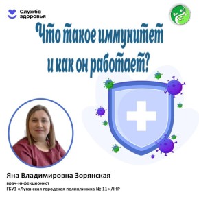 Мы часто говорим: «Иммунитет ослаб», «надо укрепить защитные силы»