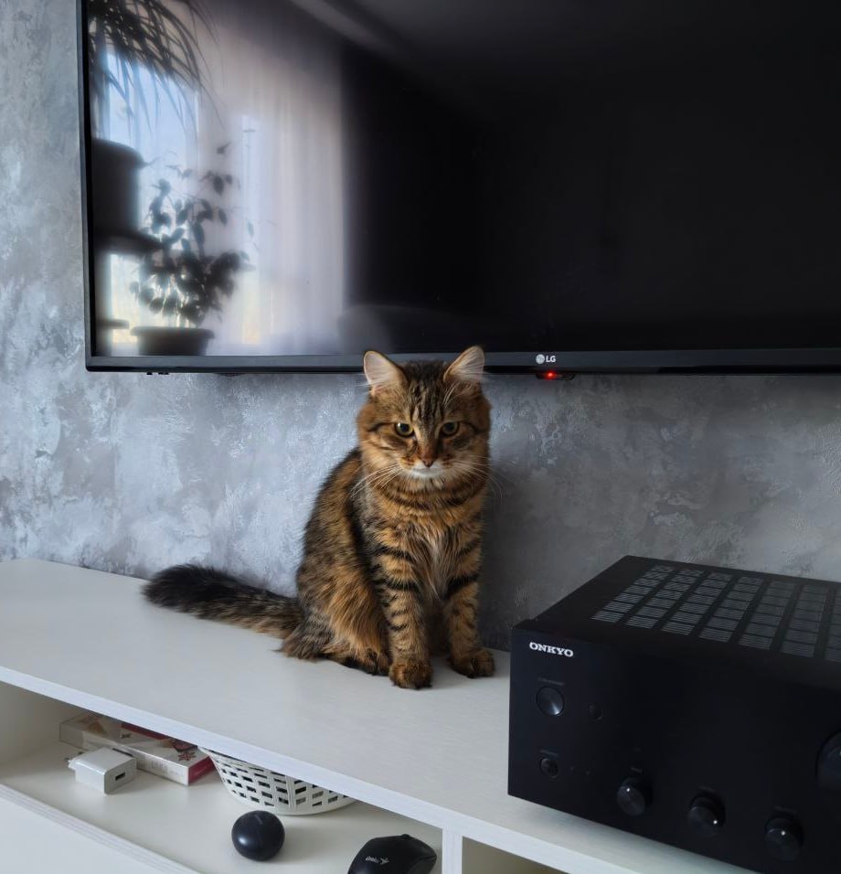 26 февраля на территории Луганской Народной Республики будет облачно с прояснениями