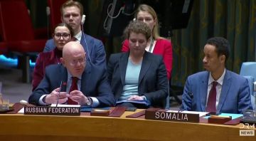 СБ ООН: кто же «настоящий украинец»? Небензя разнёс «щирых» на пух и прах!