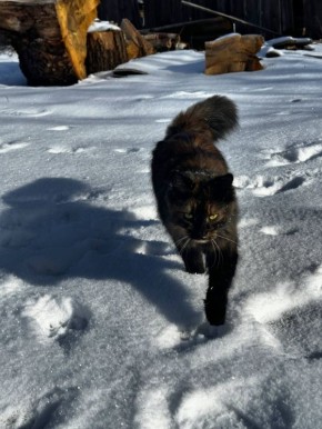 27 февраля на территории Луганской Народной Республики будет облачно с прояснениями