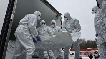 Россия передала Украине тысячу тел погибших военнослужащих в обмен на 35 тел российских воинов