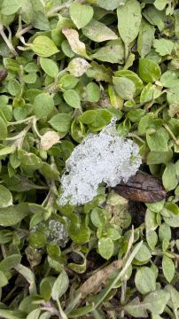 Синоптики прогнозируют 27 февраля в ЛНР от 8 градусов мороза ночью до плюс 3 градусов днем, местами ожидаются снег, мокрый снег, гололедица, налипание мокрого снега, снежный накат