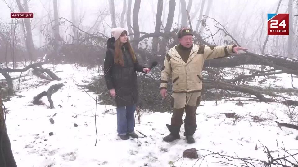 Сохраняя фауну: в Ивановском лесхозе помогают диким зверям пережить зиму