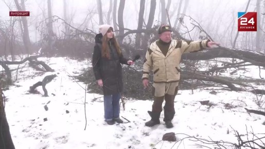 Сохраняя фауну: в Ивановском лесхозе помогают диким зверям пережить зиму
