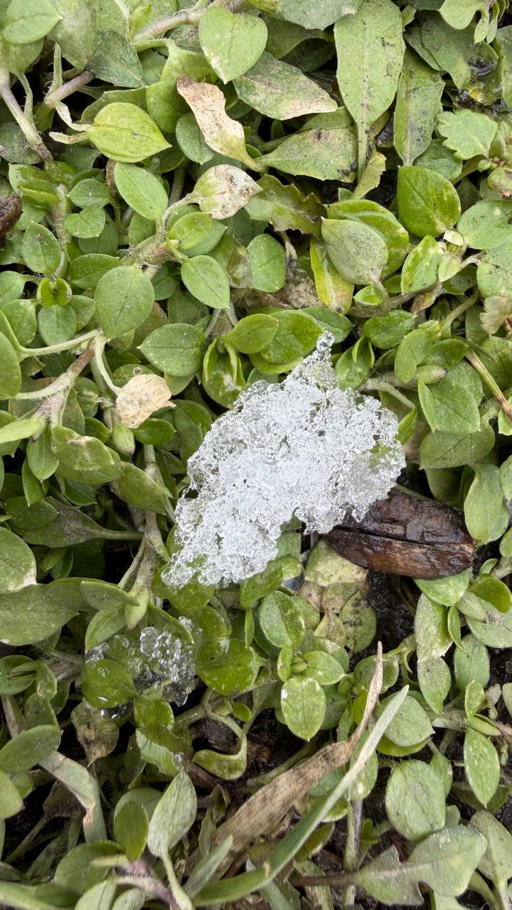 Синоптики прогнозируют 27 февраля в ЛНР от 8 градусов мороза ночью до плюс 3 градусов днем, местами ожидаются снег, мокрый снег, гололедица, налипание мокрого снега, снежный накат