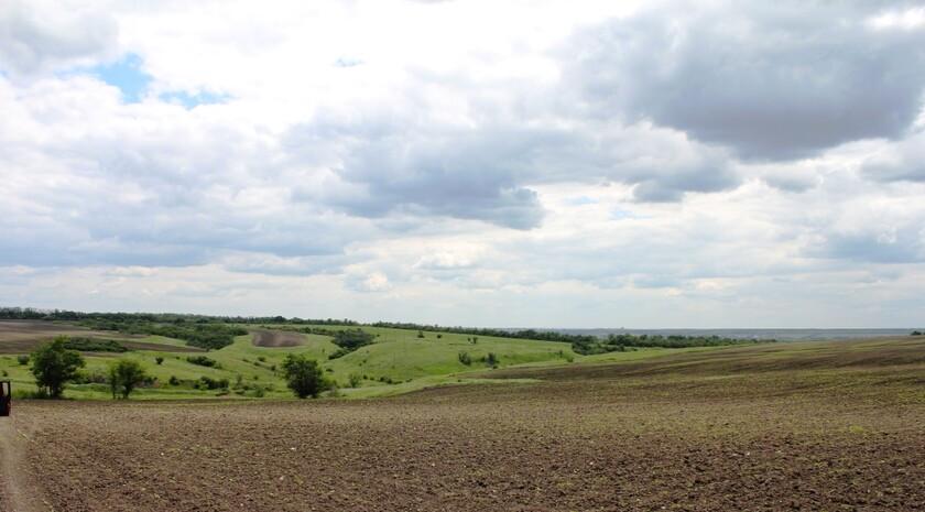 Главы муниципалитетов ЛНР будут принимать решения об изменении одного вида разрешенного использования земельных участков на другой