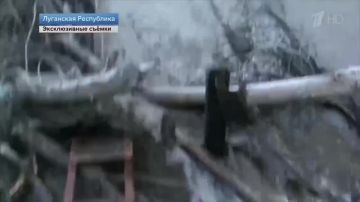 �������� �����: 24 ������� 2022 ���� � ���� ����������� ������� �������� ��� �������� ���� ����� ���� �����������