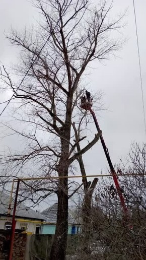 Дневник благоустройства Краснодонского округа