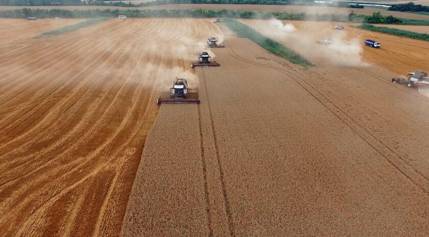 Аграрии ЛНР планируют засеять яровыми культурами 417 тыс. га — глава Минсельхоза ЛНР