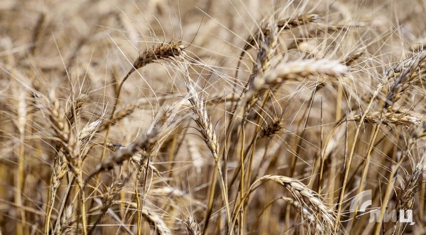 ������� ��� � �������� ���������� ������ ������������� �������蠗 ����� �����������