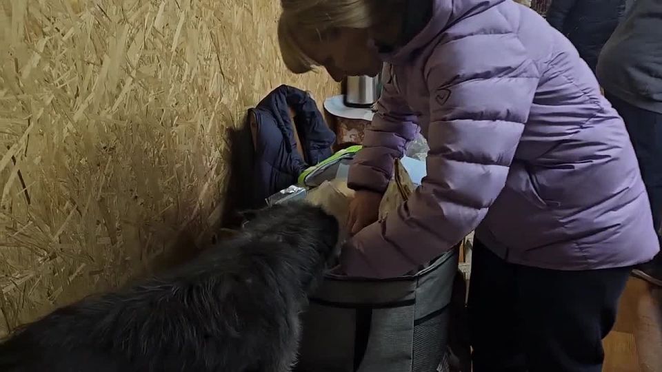 ������������� ������������ �������� ������� �������� � ���