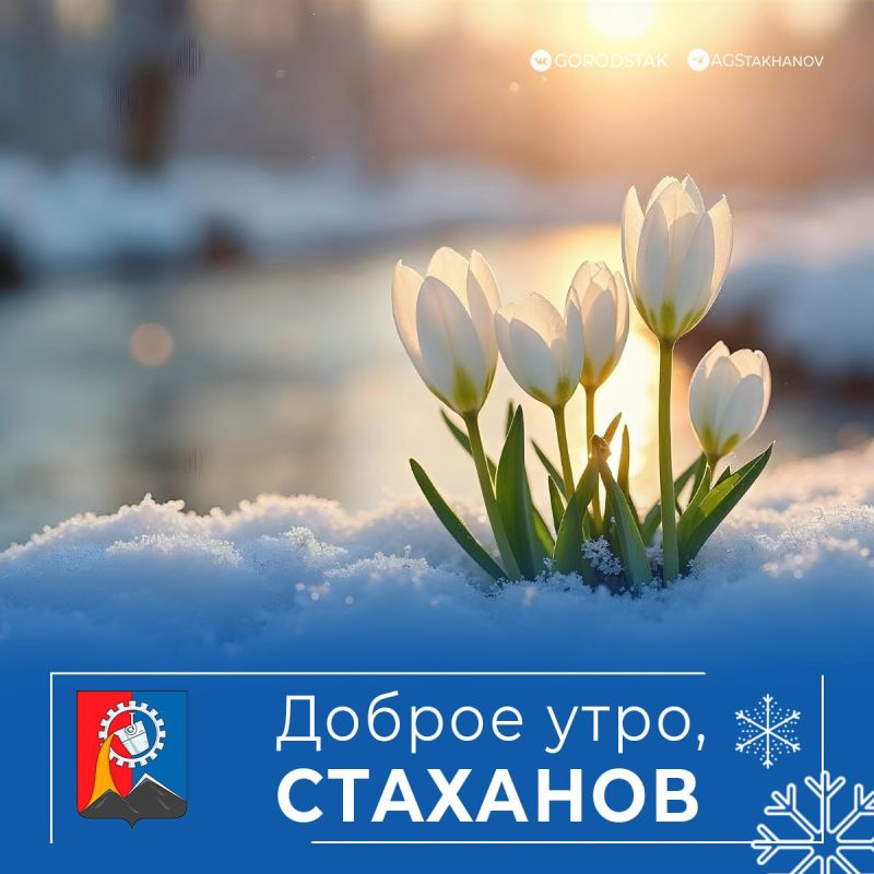 � ��������� ������ �����, ������ �����!