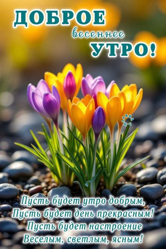 ������ ����, �������!. ����������� � ������ ���� �����! ����� ��� ���� ������� � ����� ����� ������������� ���������, ���� ����� ����� ��������, ������ ������� ����-�� ����������� � ��������