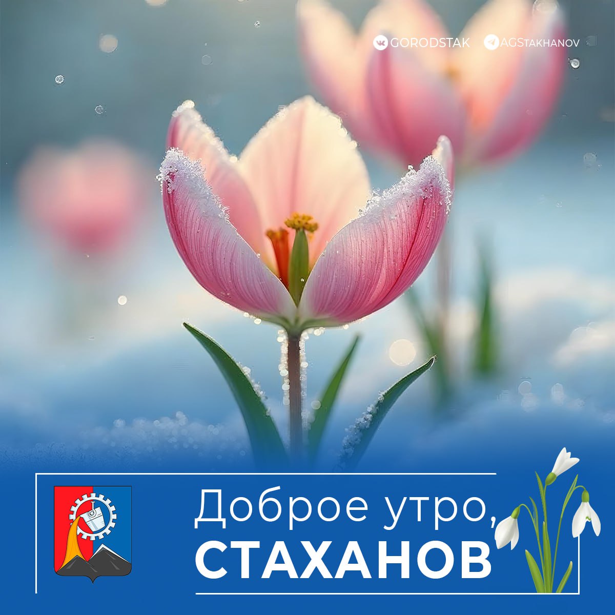 Доброе утро, родной город!