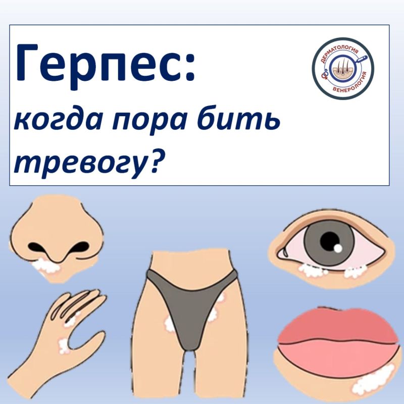 ������ �������� ������� ������ �� ����� ��������, �� ���������� �������