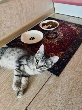 Завершим первый весенний день этого года подборкой милоты и красоты от наших подписчиков