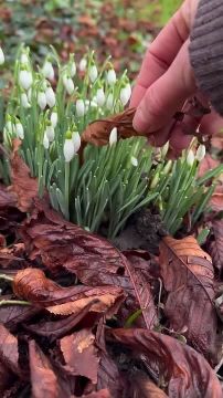 С добрым воскресным утром, жители Новоайдарского округа! С первым днем весны вас! Всем отличного настроения!