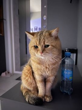 2 марта на территории Луганской Народной Республики прогнозируется переменная облачность