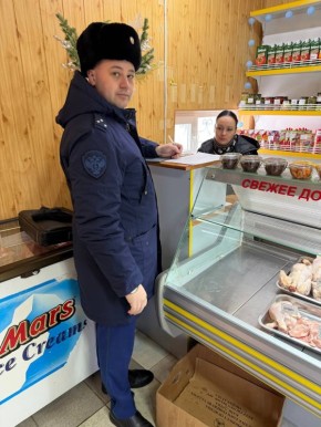 ����������� ��������-���������� ������ ������� ��������� ��������� ���������������� � ������� ����������������