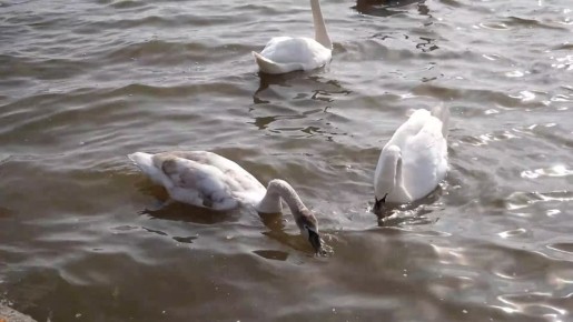 ����� ������!. ��� ������������� � ������ �� ������������ ������������� ...