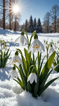 С добрым утром!. Сегодня 3 марта, вторник! Пусть ваш день пройдёт легко и радостно! Немного о погоде: