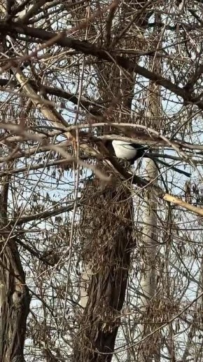Синоптики прогнозируют 4 марта в ЛНР от 3 градусов мороза ночью до 7 градусов тепла днем и дождь с мокрым снегом — пресс-служба Главного управления МЧС России по ЛНР