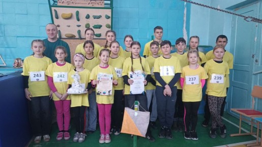 ��������������� ��������� �� �������������������: ������������ ����� �������