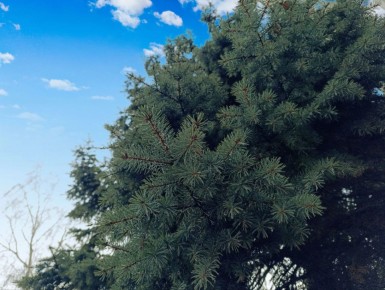 Всем жителям нашего города мы говорим "Доброе утро!"