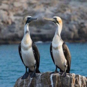 �������� 3 ����� �� ���� ���� ���������� ��������� ���� ����� �������