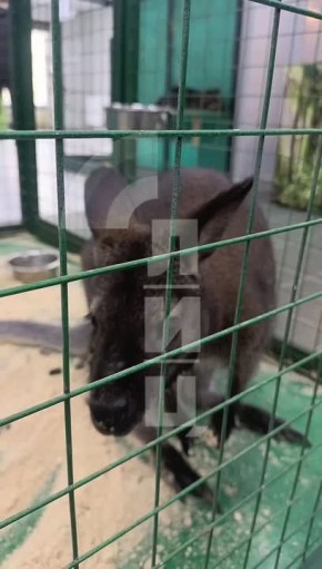 �������� ���� ������� � ��������: ����� 30 ������������ �������� � ����� �����