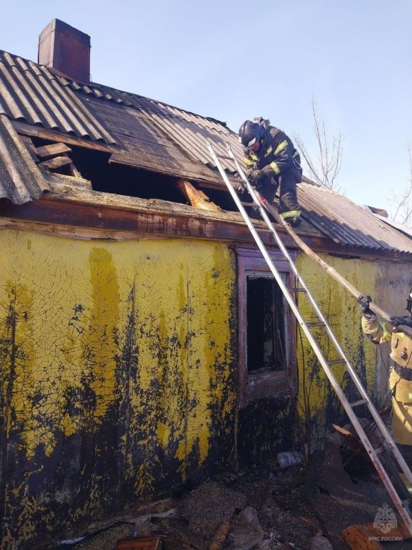 ������ ���� ����������� ��������� ��� ������