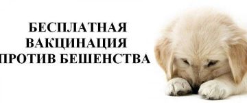 ��������! ���������� ����� � ����� ������ ���������!