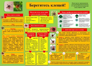 ��� ������ ���� ����� � ��� �� ���� ����������