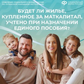 Учитывается ли имущество, приобретенное за маткапитал, при оценке нуждаемости для единого пособия