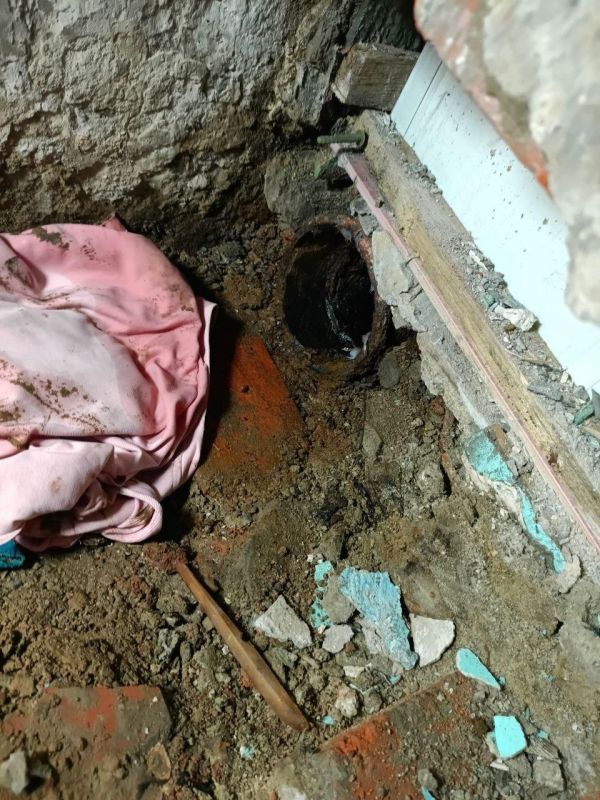 ������ �������: ��������� ���������� ������������ ����������� � ������� ���� �����������