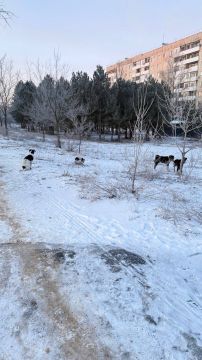 Уважаемые жители города!. Обращаем ваше внимание на важность соблюдения правил поведения в общественных местах