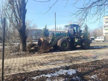 ������ �������: � �������, ����� �������� ���������, ����� ������: ����������� �������������� ���������� ����������� ��������� ������������ ����� ������ ����������� ������� �� ��������������� ���������� ����