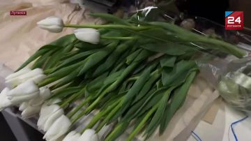 �������� ��� ���������� ���: �������� ����� ��������� ����������� ����� � 8 �����