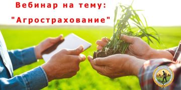 ���������� ������: ����� ����������� ���������� �� ������� �� ���������������